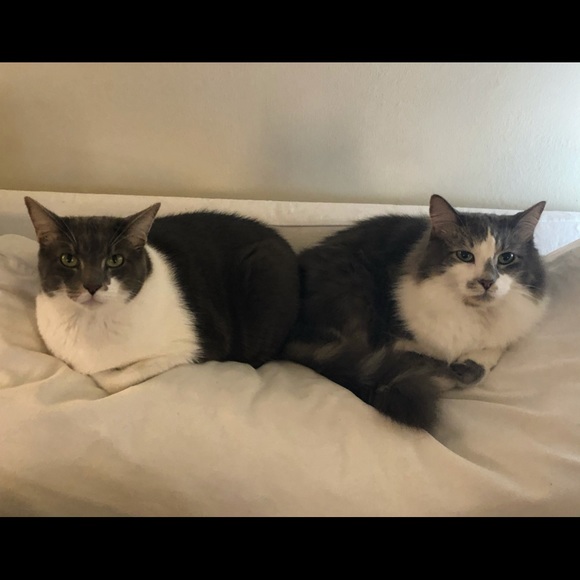 Meet your Posher, Megan - Picture 10 of 10